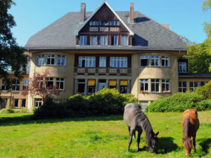 Pferde - Psychosomatische Fachklinik Dr. Barner Pferde - Psychosomatische Fachklinik Dr. Barner